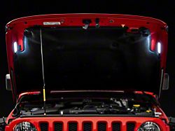 Raxiom Axial Series LED Underhood Lighting Kit (Universal; Some Adaptation May Be Required)