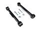 BDS Fixed Rear Lower Control Arms for 2 to 4.50-Inch Lift; Polyurethane Bushings (97-06 Jeep Wrangler TJ)