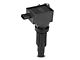 Ignition Coil; Black (21-24 2.0L EcoBoost Bronco Sport)