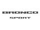 Rear Liftgate Letter Overlays; Domed Carbon Fiber (21-24 Bronco Sport)