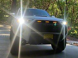 Cali Raised LED Raptor Style Grille Lights; Amber Lens (14-24 4Runner)