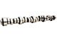 Comp Cams XFI 216/220 Hydraulic Roller Camshaft (06-10 Jeep Grand Cherokee WK SRT8)