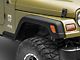 Fender Flares (97-06 Jeep Wrangler TJ)