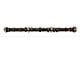 Engine Camshaft (90-95 4.0L Jeep Wrangler)