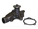 Engine Water Pump; with AMC; without Serpentine Belt (81-86 2.5L, 4.2L Jeep CJ7; 81-83 2.5L, 4.2L CJ5)