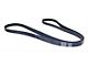 Serpentine Belt; Accessory Drive (81-82 4.2L Jeep CJ7; 81-82 4.2L CJ5)