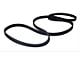 Serpentine Belt; Accessory Drive (81-82 4.2L Jeep CJ7; 81-82 4.2L CJ5)