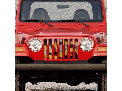 Grille Insert; Focus (97-06 Jeep Wrangler TJ)