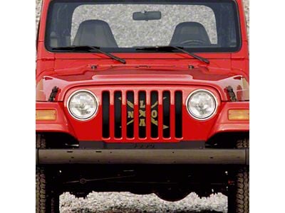 Grille Insert; New Orleans (97-06 Jeep Wrangler TJ)