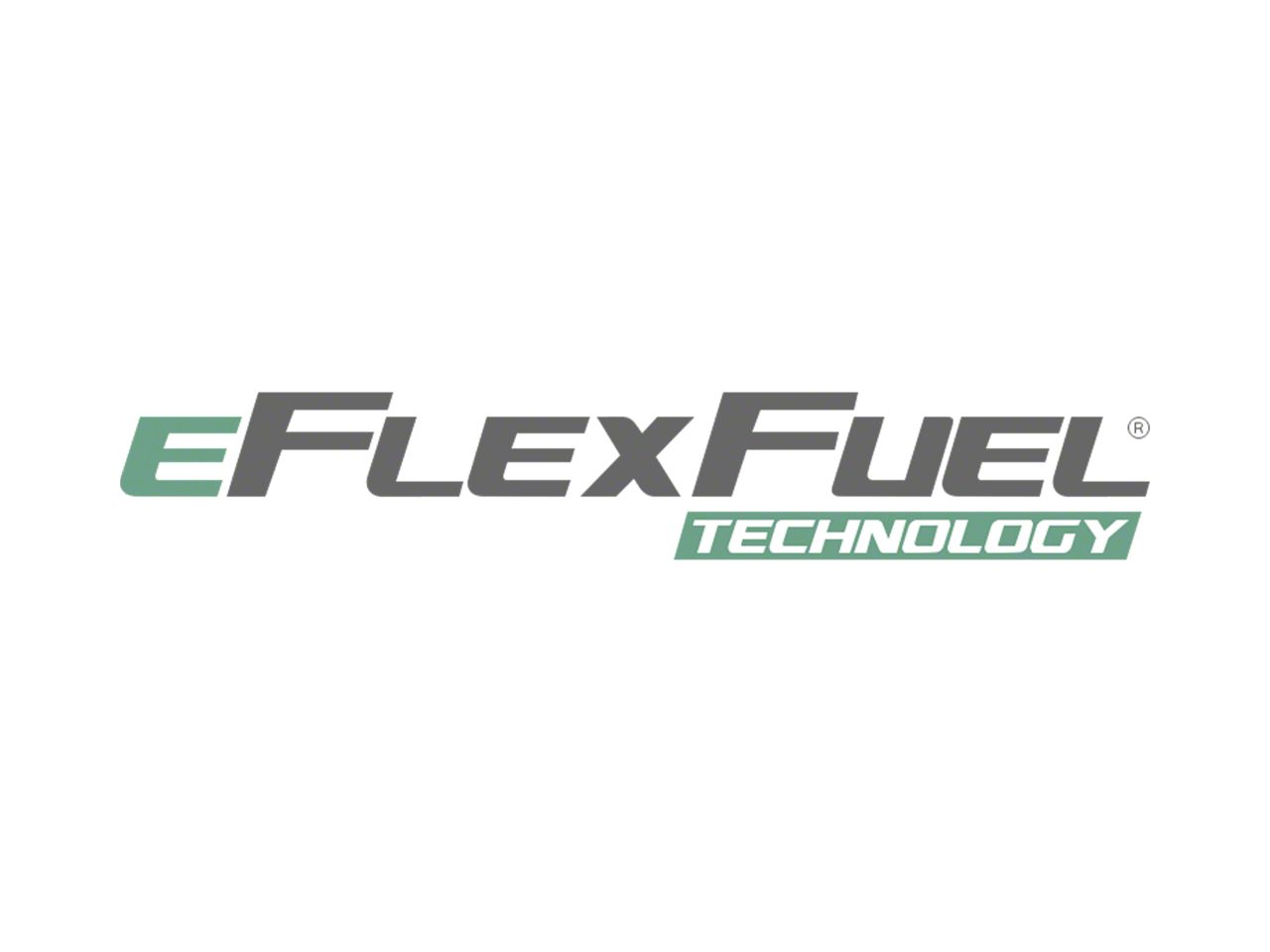 eFlexFuel Parts