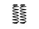 EVO Manufacturing 2.50-Inch Rear Lift Springs (20-24 3.0L EcoDiesel Jeep Wrangler JL; 21-24 Jeep Wrangler JL Rubicon 392)