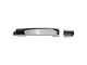 Exterior Door Handles; Rear; Chrome (05-20 Frontier Crew Cab)