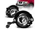 Fog Lights with Switch; Clear (05-21 Frontier w/ Plastic Bumper)