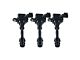 Ignition Coils; Set of Three; Black (05-19 4.0L Frontier)