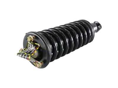 Loaded Strut Assembly; Front (05-10 2WD 4.0L Frontier SE)