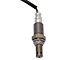 O2 Oxygen Sensor; Upstream (07-10 4.0L Frontier)