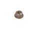 Slave Cylinder Nut (84-01 Jeep Cherokee XJ)