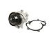 Engine Water Pump (07-09 3.0L Jeep Grand Cherokee WK)