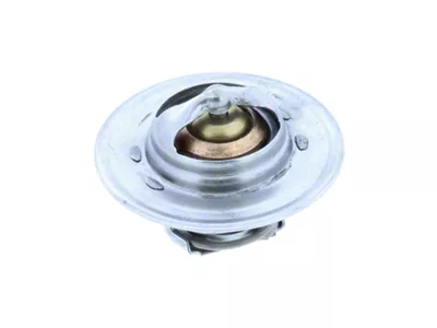 Thermostat; 160-Degree (93-04 Jeep Grand Cherokee ZJ & WJ)