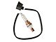 Oxygen Sensor (15-22 2.4L Jeep Renegade BU)