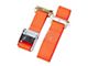 2-Inch x 12-Foot Cambuckle Track Straps for X-Track/E-Track Systems; 2,000 lb.