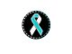 Cervical Cancer Ribbon Rated Badge (Universal; Some Adaptation May Be Required)