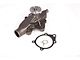 Water Pump; V-Belt (80-86 Jeep CJ5 & CJ7)