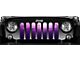 Grille Insert; Ladies Night (87-95 Jeep Wrangler YJ)