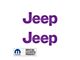 JEEP Side Logo; Purple (97-06 Jeep Wrangler TJ)