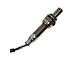 O2 Oxygen Sensor; Upstream (91-95 4.0L Jeep Wrangler YJ)