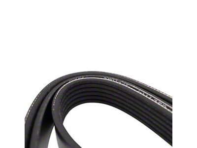 Serpentine Belt (81-86 4.2L Jeep CJ7 w/o Air Conditioning)