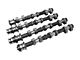 Kelford Cams Mild Naturally Aspirated 256/256 Camshaft (05-15 4.0L 4Runner)