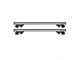 OMAC Roof Rack Cross Bars; Gray (10-24 4Runner)