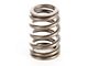 Valve Spring (87-95 Jeep Wrangler YJ)