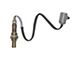 Oxygen Sensor; Upstream; Front (97-99 2.5L Jeep Wrangler TJ)