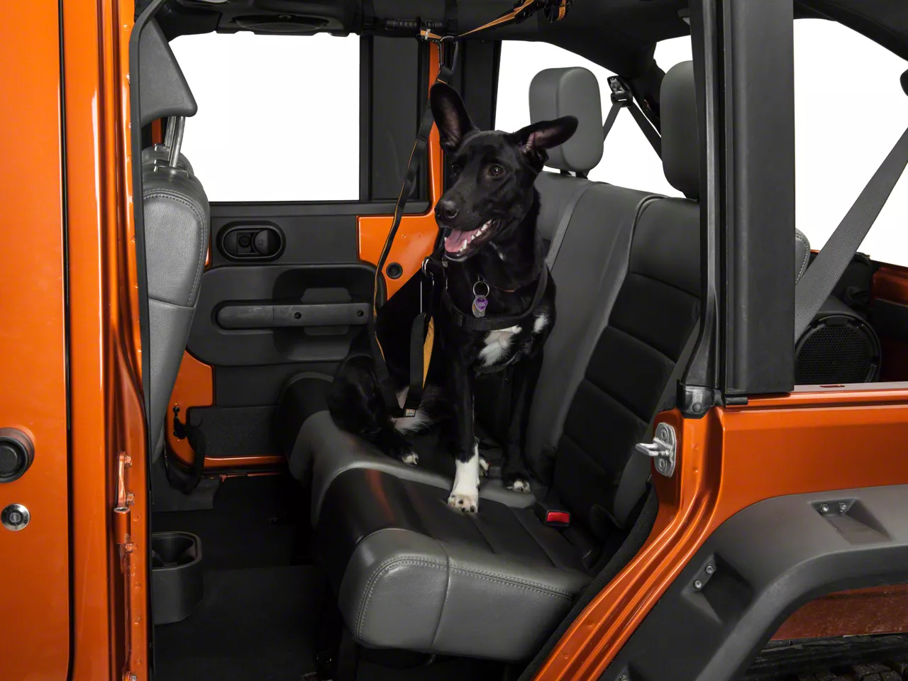 Dog seat belt jeep wrangler best sale