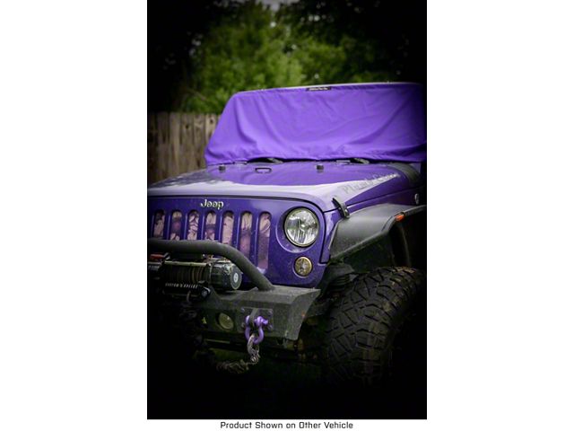 Winter Windshield Cover; Purple (Universal; Some Adaptation May Be Required)