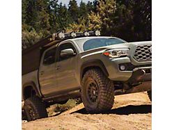 Rock-Slide Engineering Rock Slider; Passenger Side (05-23 Tacoma Double Cab)