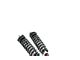 Rough Country M1 Loaded Front Struts for 4-Inch Lift (16-23 4WD Tacoma)