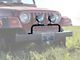 Steinjager Grille Guard (97-06 Jeep Wrangler TJ)