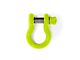 Steinjager 3/4-Inch D-Ring Shackle; Gecko Green (18-24 Jeep Wrangler JL)