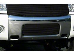 T-REX Grilles Billet Series Lower Grille Insert; Polished (04-14 Titan)