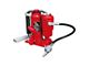 Big Red Air Hydraulic Bottle Jack; 12-Ton Capacity