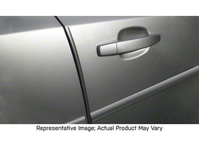Lower Side Moldings; Magnetic Gray (05-23 Tacoma Double Cab)