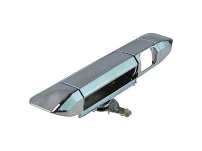 Tailgate Handle (09-15 Tacoma)