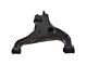 Front Lower Control Arm with Ball Joint; Driver Side (04-22 Titan)