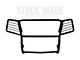 Grille Guard; Semi-Gloss Black (17-24 Titan)