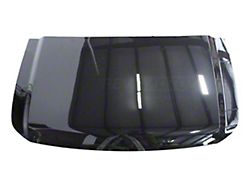 Replacement Aftermarket Hood; Galaxy Black Metallic (04-15 Titan)