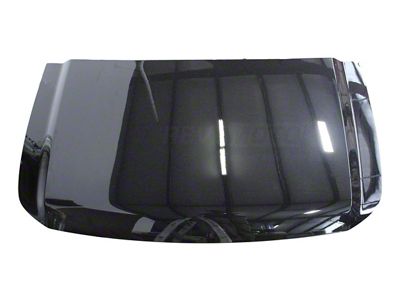 Replacement Aftermarket Hood; Galaxy Black Metallic (04-15 Titan)