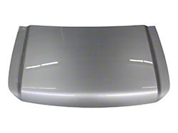 Replacement Aftermarket Hood; Radiant Silver Metallic (04-15 Titan)